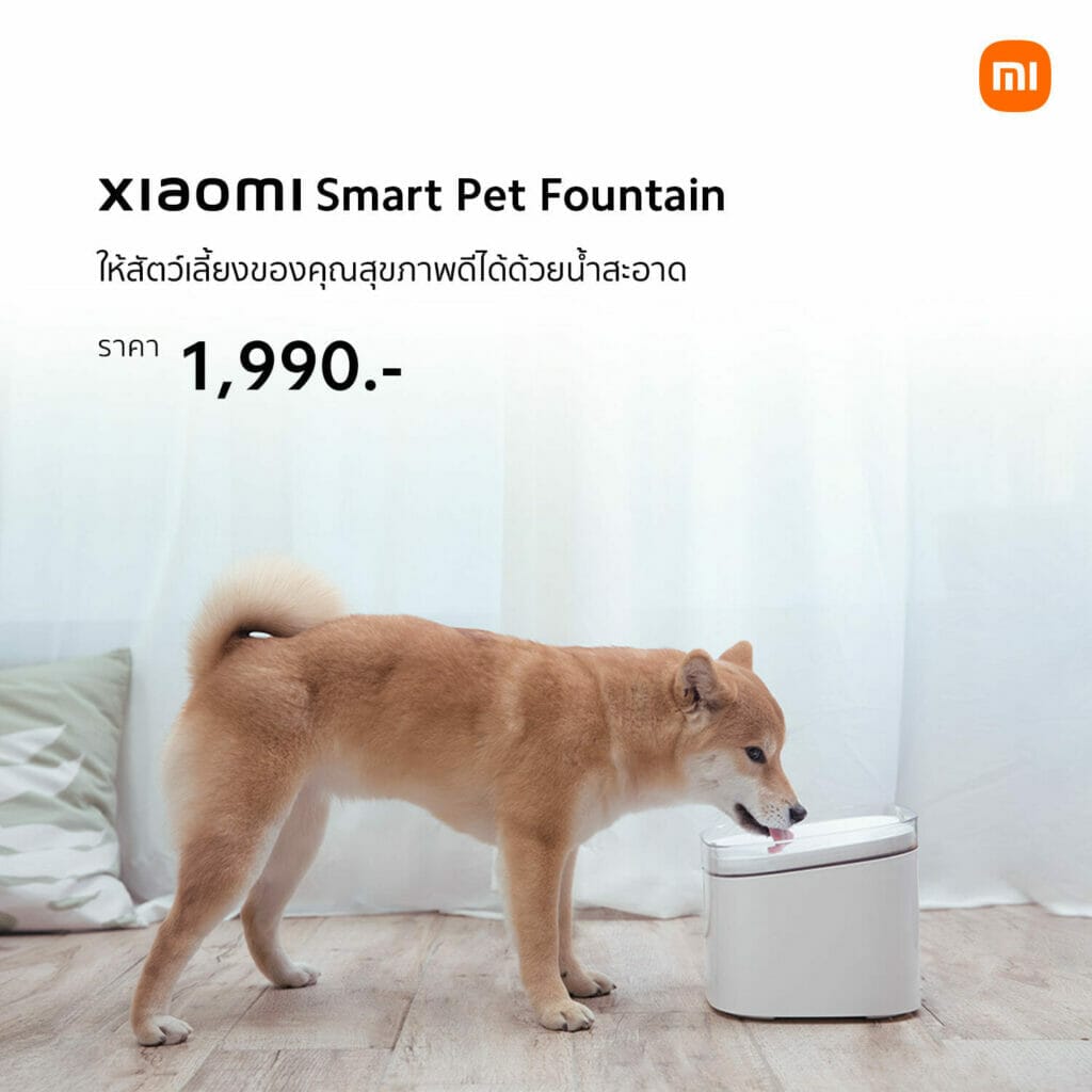 เสียวหมี่เอาใจคนรักสัตว์วางขาย Xiaomi Smart Pet Fountain และ Xiaomi Smart Pet Food
