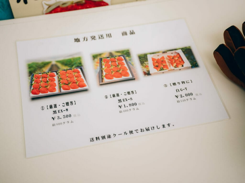 รีวิวไปชิมสตรอว์เบอร์รี่สดๆ จากต้นที่ Lion Fruit Farm ประเทศญี่ปุ่น ฟุกุโอกะ